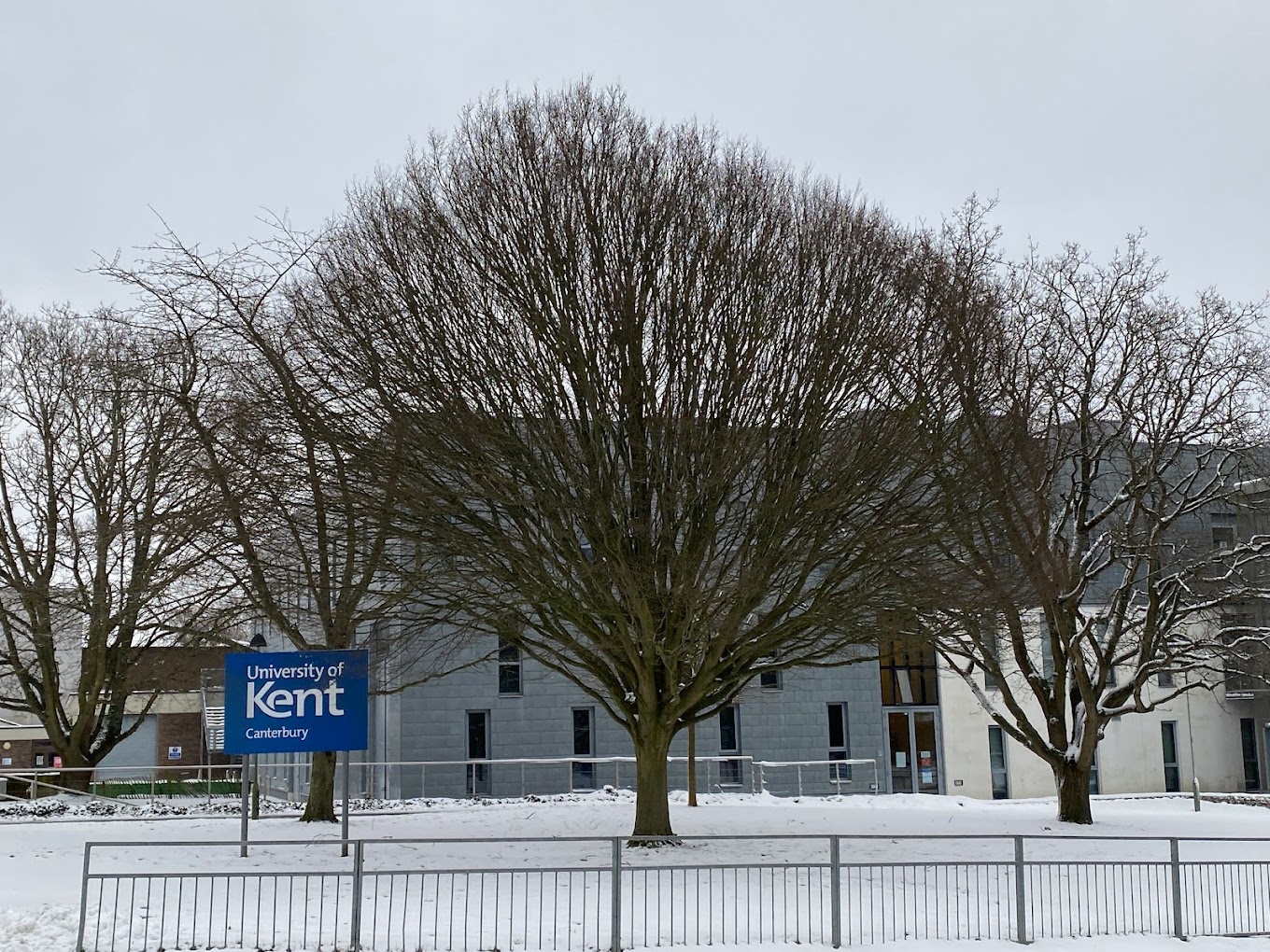 Institution defulat img