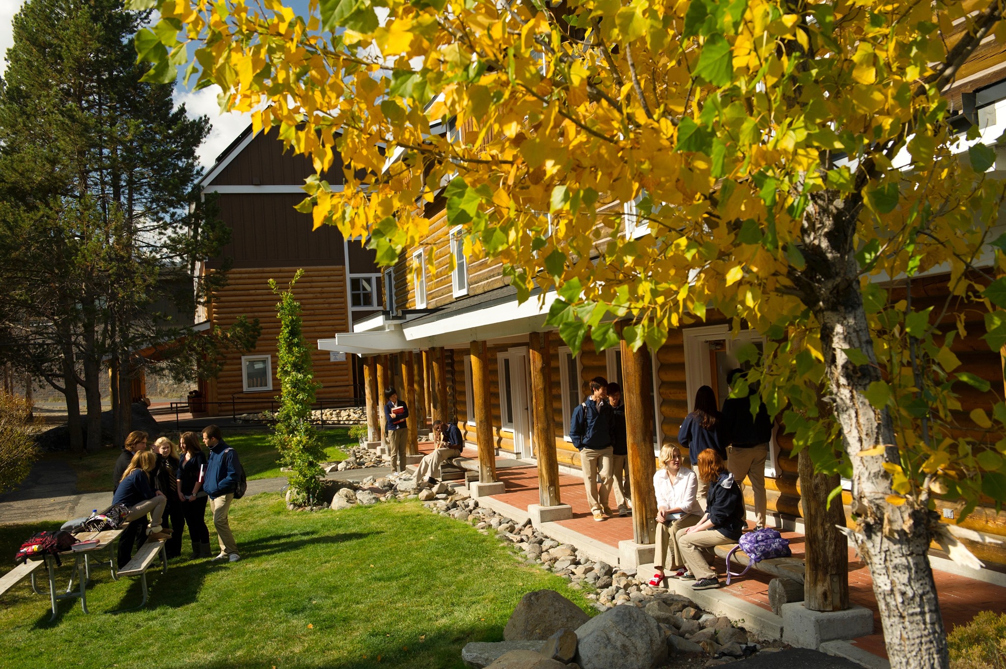 Institution defulat img