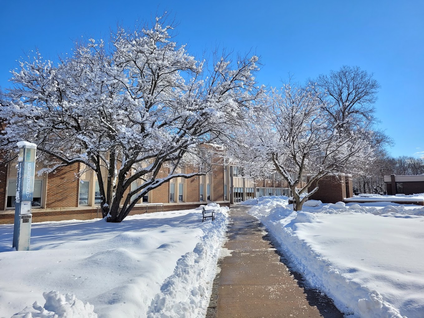 Institution defulat img